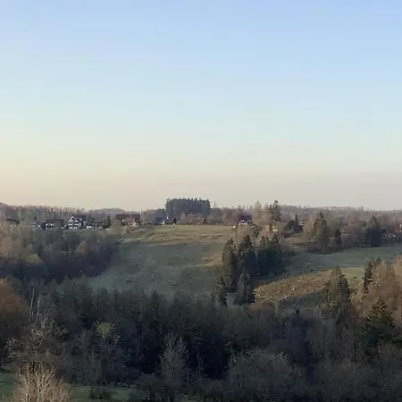 Harz-relax Apartment